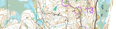 Swedish League Middle